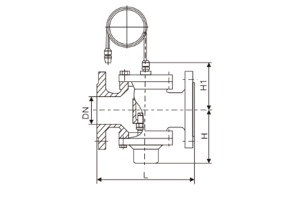 自力式壓差控(kòng)制閥(圖1)