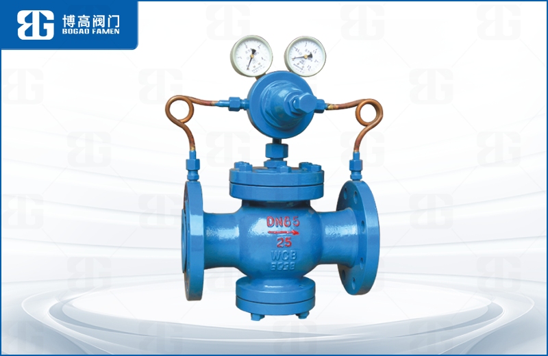 先(xiān)導活塞式氣體(tǐ)減壓閥